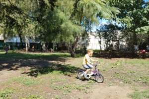 cour vegetalisee ecole privée ardeche